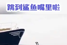 国外船员跳水 正好跳到鲨鱼嘴里 #神奇动物在抖音 #海员生活 #鲨鱼吃人 #记录真实生活 #海洋生物 @DOU+小助手视频封面