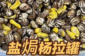 别小看这点杨拉罐，齁贵！盐焗一下，咸香可口，比瓜子还还上口！视频封面