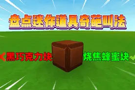 迷你世界：盘点迷你道具奇葩叫法！你知道几种呢？ #迷你世界