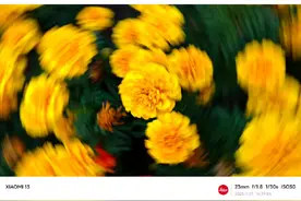 旋转拍花#教程 #手机摄影 #拍花技巧视频封面