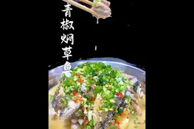 青椒焖草鱼 今天分享一道我们家庭聚餐最常见的一道菜，青椒焖草鱼，这是鱼最好吃的做法应该没人有的意见吧，做法简单，吃起来那是一个鲜！#湘菜 #跟我学做菜 #美食教程 #这一口简直香迷糊了 #青椒焖草鱼