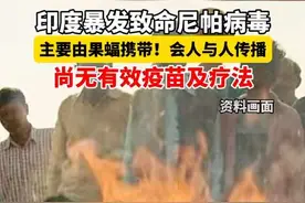 印度暴发致命尼帕病毒，尚无有效疫苗及疗法。