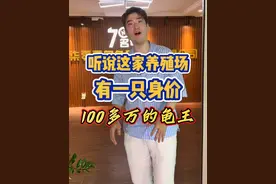 听说这家养殖场有一只身价100多万的龟王？！！我们去涨涨见识～ #龟 #龟龟🐢 #乌龟 #养龟日常 #养龟人