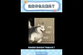 这样的好事，那就别怪我开始疯狂邀人抽奖了#豆包电脑版 #软件神奇 #豆包