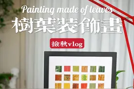 捡来的树叶做成画！把秋天留在家里！ #内容启发搜索 #家有好东西 #抖音好家大赏视频封面