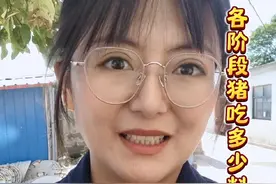 各阶段的猪吃多少料长一斤？#猪价行情 #猪 #养猪人加油干视频封面