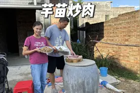 广西农村家常菜：芋苗炒肉，超极送饭送粥，大人小孩都爱吃