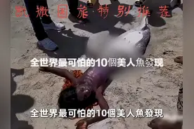 凯撒国旅特别推荐：全世界最可怕的10美人魚發现#旅行推荐官视频封面