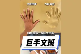 文班亚马的手有多大#文班亚马