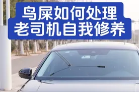 虫胶鸟屎如何处理？老司机的自我修养蚊虫尸体在玻璃上如何处理？