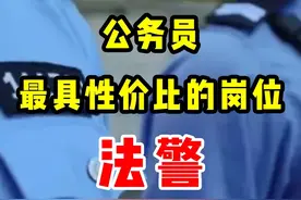 公安系统里还有比法警更香的岗位吗#考公 #公安 #公务员 #国考