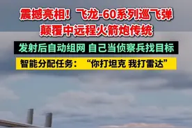 震撼亮相！飞龙-60系列巡飞弹颠覆中远程火箭炮传统，发射后自动组网，自己当侦察兵找目标，智能分配任务：“你打坦克 我打雷达”视频封面