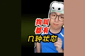 狗叫你都知道几个意思。。。#新手养狗 #科学养宠攻略 #养狗经验分享 #狗叫