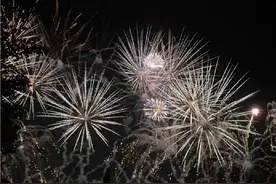 迪士尼万圣节传说中最豪横的点位#迪士尼烟花