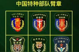 这些特种臂章你都见过吗？ 手里的特种臂章很轻，但是它承载了我整个青春。#军事科普 #臂章 #中国军人 #退伍不褪色 #强军征途