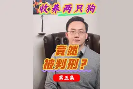 收养两只狗 竟会被判刑？ #宠物 #猫 #盗窃罪 #刑事律师 #刑事案件视频封面