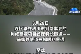 利咸高速首座特长隧道贯通 (来源/长江云)#湖北恩施 @抖音短视频 @DOU+小助手视频封面