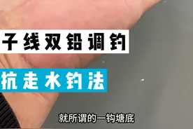 子线夹铅钓法，子线双铅，走水钓鱼 走水怎样定住浮漂保证灵敏度，分享子线双铅钓法#钓鱼 #走水钓法 #子线双铅钓法 #大板鲫 #石头的饵料