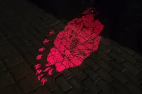 洛阳的共享电动车都玩出“花”了#洛阳旅游 #洛阳视频封面