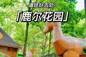 成都懒人遛娃方式，躲进森林玩水露营，太凉快了#亲子游玩好去处视频封面
