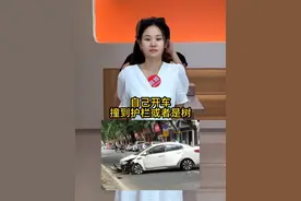 自己开车撞到护栏或者树，用什么保险 #汽车知识