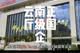 云南省的正厅级国有企业有哪些？#云南 #国有企业 #云南国企