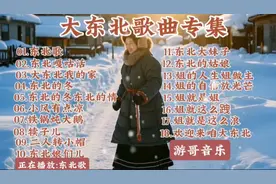 大东北歌曲专集《东北歌》《大东北我的家》《东北嘎咕话》等等