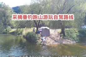济南近郊自驾跑山采摘免费垂钓精品一日游路线#自驾游视频封面