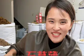 石菖蒲您知道如何选择吗？#石菖蒲#石菖蒲和水菖蒲区别