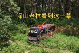 丛林深处发现一辆红色的载客大巴，非常好奇，怎么会停在这种地方？#丛林中的一辆大巴#废弃的大巴车