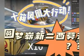 十箱凤凰大行动，圆梦崭新二西莫夫？？#csgo开箱 #cs2
