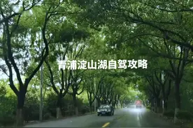 分享一条青浦淀山湖免费自驾路线#周边游 #旅行推荐官