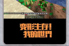 变形生存！#我的世界中国版 #我的世界铠甲勇士联动  #你想玩的这里都好 #我的世界存档
