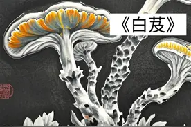 中草药白芨的故事#创作灵感民间故事 #民间草药的功效与用法