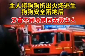 本来是想养个小宠物，最后它却成为了“亲人” #中华田园犬 #忠心护主 #感人瞬间 #狗是人类最忠诚的朋友 #上热门🔥视频封面