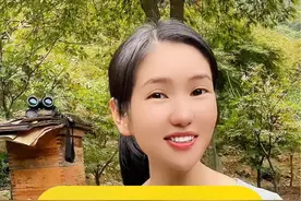 蜜蜂为什么不出勤蜜蜂不出勤有哪些原因怎样解决#蜜蜂 #养蜂人 #蜜蜂养殖 #户外找蜂 #养蜂技术分享 @抖音创作者中心 @DOU+小助手 @创作灵感小助手 @抖音短视频视频封面