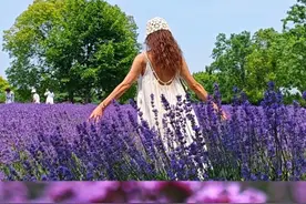 阿姨把我的心和薰衣草公园一起包场了 拍摄攻略： 帮人拍~站在阿姨们对面的各机位即可； 被人拍~站在阿姨们的点位即可。 地点：上海薰衣草公园（内含薰衣草、马鞭草等） 花期：5月17日至6月2日（盛花期内） 开放时间：9:00~17:00，16:30停止售票入园（其中里面的乐园周一周二闭馆） 票价：网上28元，现场30元（65岁以上老人、儿童免票） 地址：浦东申迪东路399弄187号 交通：11号线迪士尼站下3号口出（走500多米就到了） #vlog日常 #薰衣草 #上海薰衣草公园 #周末去哪儿 #周末遛娃视频封面