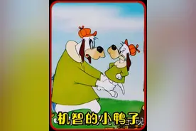 机智的小鸭子与迁徙的鸟儿动画合集…#经典动画 #怀旧动画