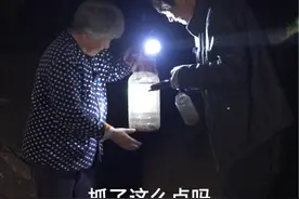 金龟子乱撞的季节，全村出动。漫山遍野的手电筒，寻找美味的瞎闯子。#农村生活 #农村美食 #瞎闯子