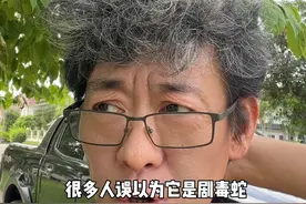 赤链蛇 毒蛇的杀手#赤链蛇 #火赤练 #桑树根视频封面