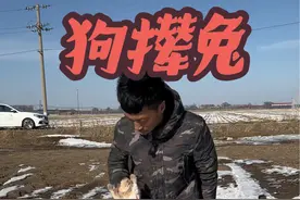 还狗撵兔子呢，那兔子放地上压根就没动，看他拎兔子在大野地跑一圈😂#我的乡村生活 #狗 #兔子 #狗撵兔