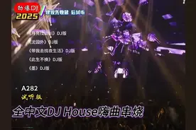 2025中文经典老歌DJ串烧，耳机一戴，谁都不爱，经典DJ串烧