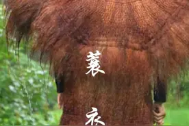 蓑衣在3000多年前的周朝时期就已经出现了，是古人用作避雨的工具，至今仍然适用  #百young非遗计划 #一见爱上传统文化 #非遗守护人 #新农人计划2025