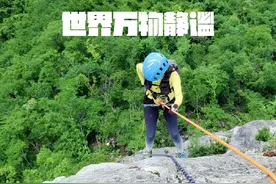 我现在很紧张，你不要讲话。 #武汉羽过添情户外 #大山里的原生态视频封面