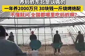 养蚂蚱东北是认真的！一年养2000万只，30块钱一斤烧烤绝配！不懂就问，全国都哪里吃蚂蚱啊？