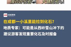 在成都一小溪里能捡到化石？地质专家：可能是从西岭雪山冲下的，建议游客发现重要化石及时报备#成都 #西岭雪山视频封面