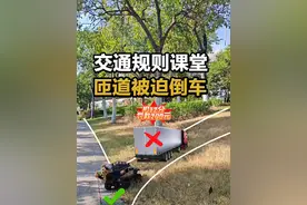 高速匝道被迫倒车怎么办？到底可不可以倒车？ #新手上路开车技巧 #每天一个用车知识 #驾驶技巧 #高速匝道 #道路千万条安全第一条视频封面