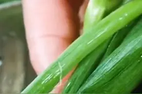 和尚不吃葱蒜韭菜？ #涨知识 #奇闻趣事