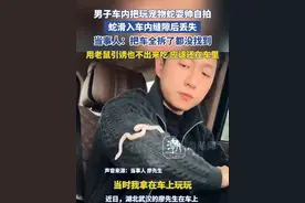 男子车内把玩宠物蛇耍帅自拍，蛇滑入车内缝隙后丢失 当事人：把车全拆了都没找到，用老鼠引诱也不出来吃 应该还在车里视频封面