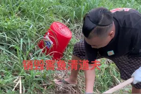 欢迎大家提供更多清道夫处理方法#清道夫